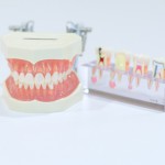 厳選4POINT！患者が集まる矯正・審美歯科のホームページとは（歯科特集02）